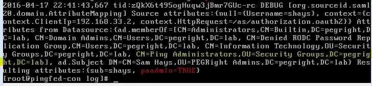 PingAccess RBAC server log debugging