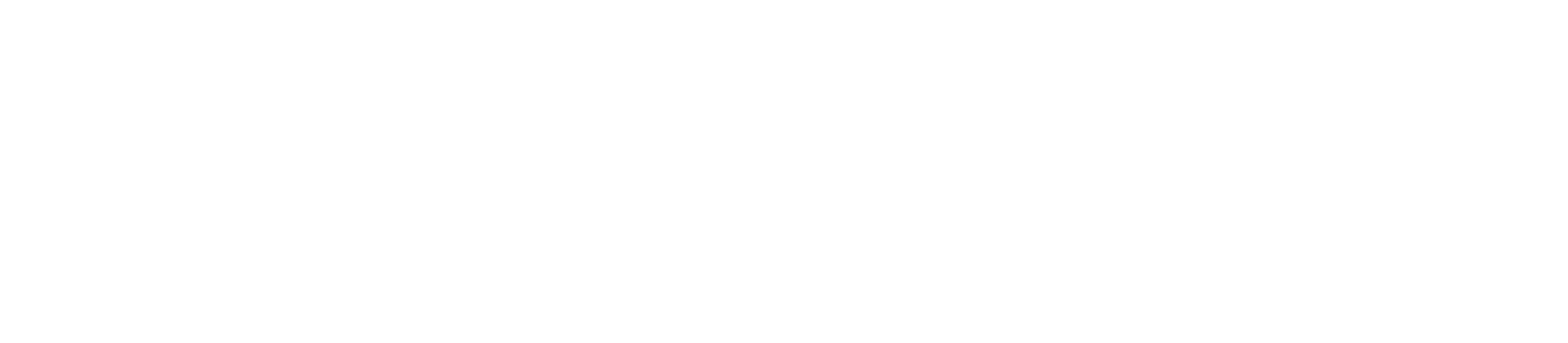 SailPoint-Logo-RGB-Inverse-1