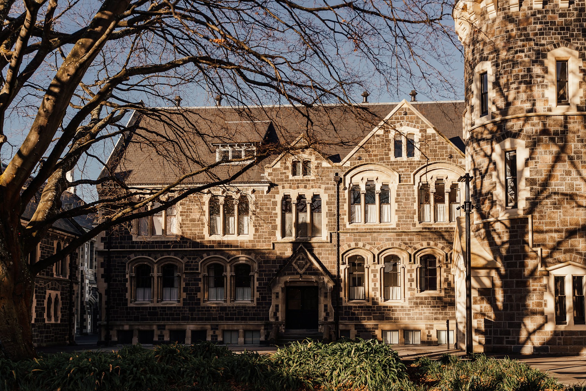 michelle-mcewen-obn0nEiFJK4-unsplash