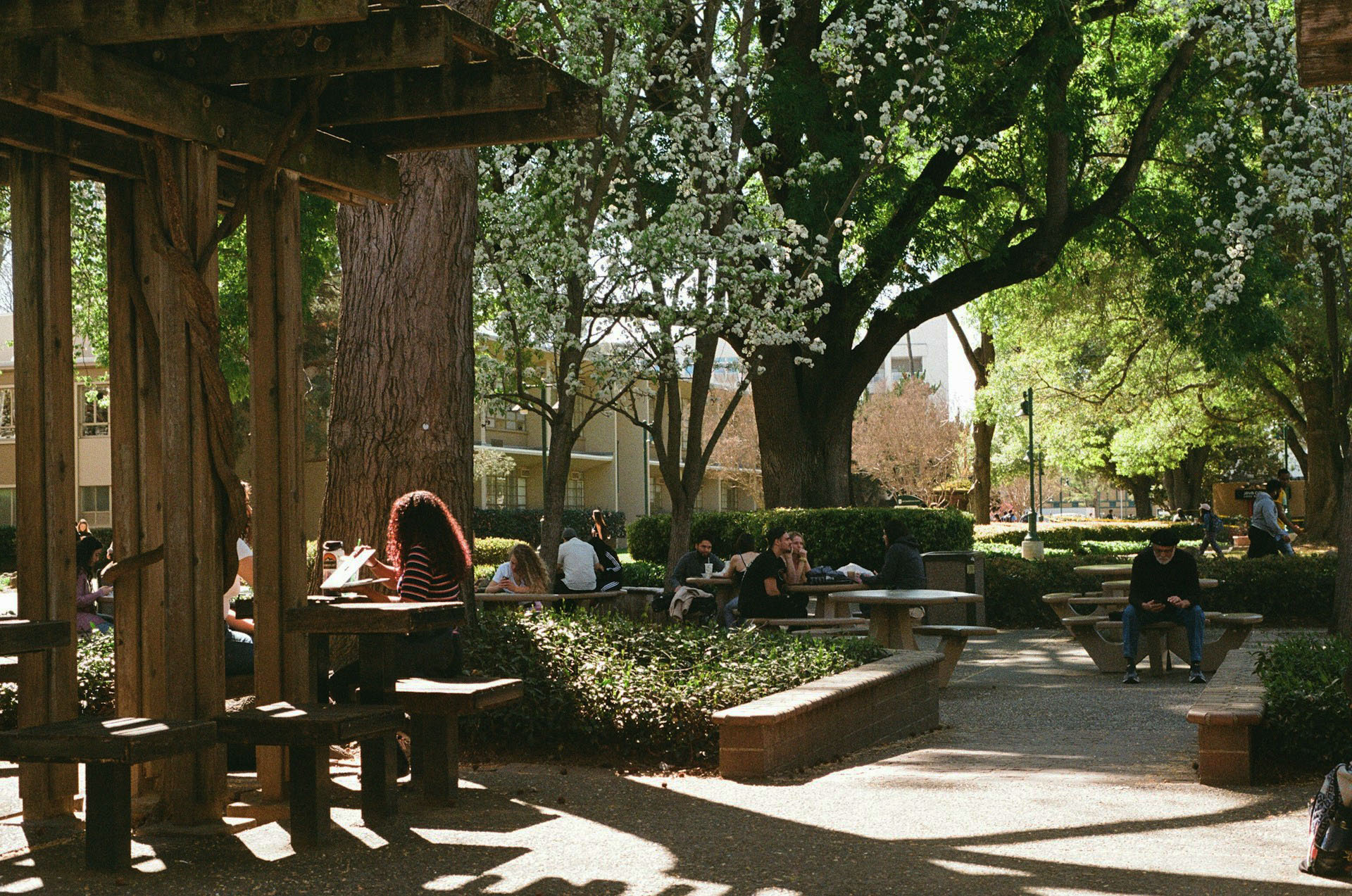 Identity as a platform for IT transformation: ProofID and the University of Hull.