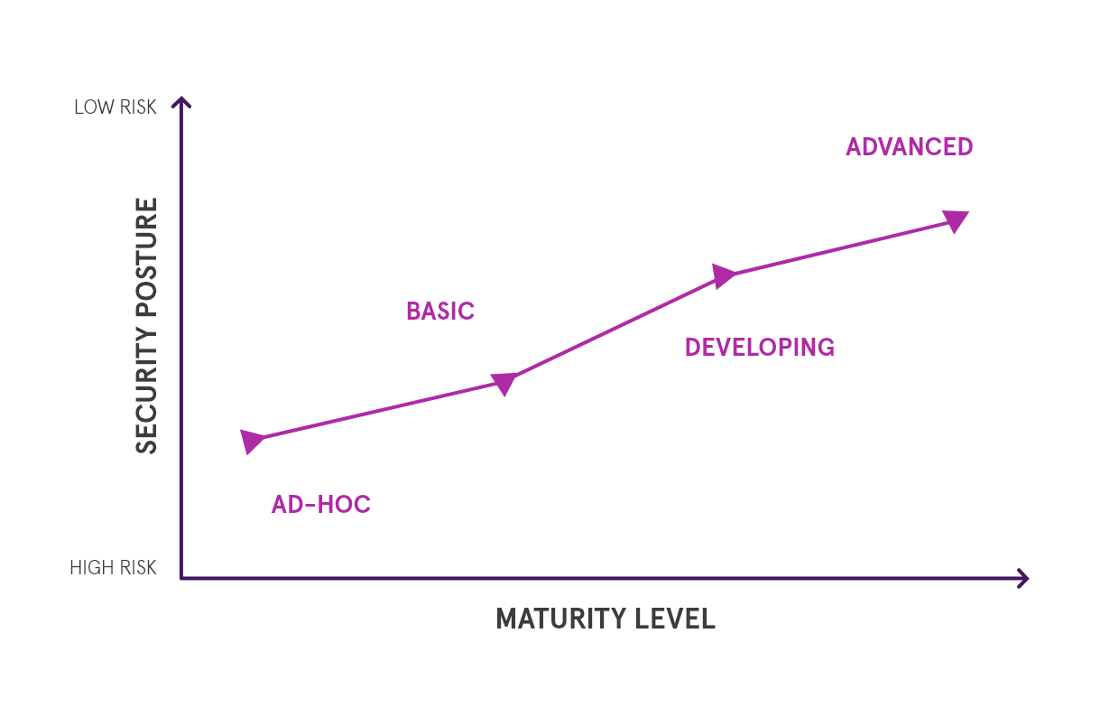 Maturity Model Graph