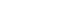 Toyota W